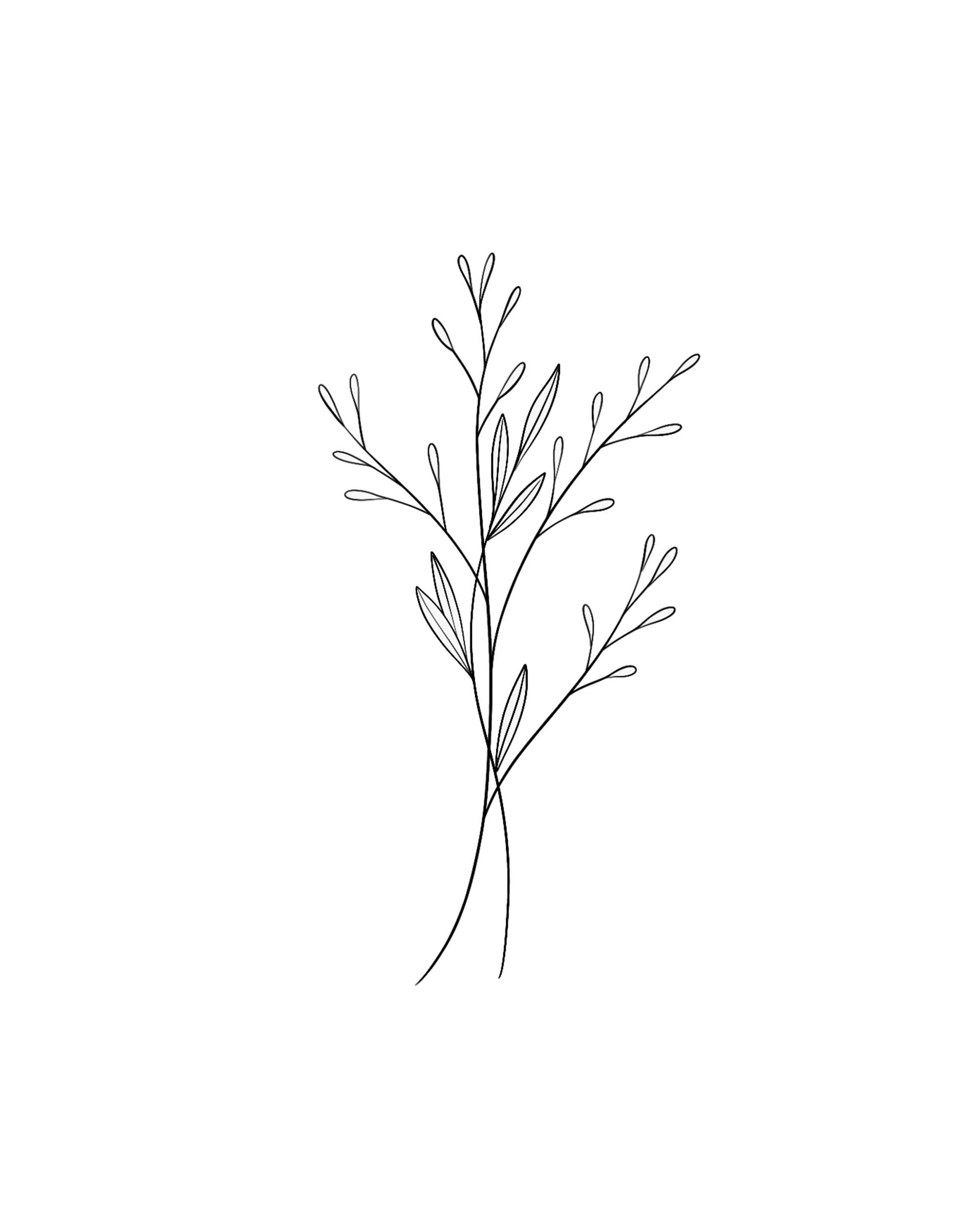 Willowstem Sprig