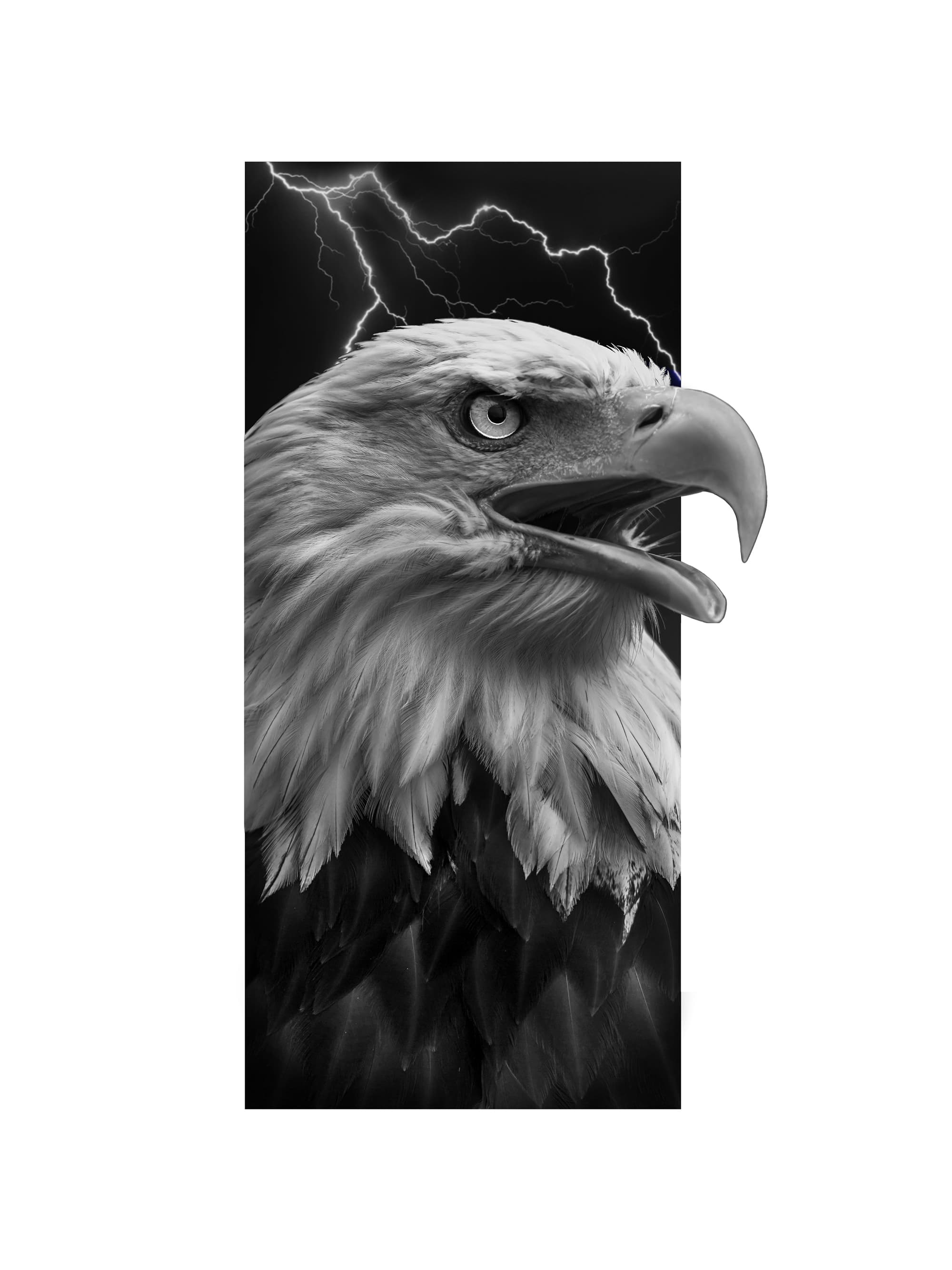 Stormbound Eagle Flash Black Grey Realism 46 Tattoo stormbound-eagle-flash-black-grey-realism-46-tattoo