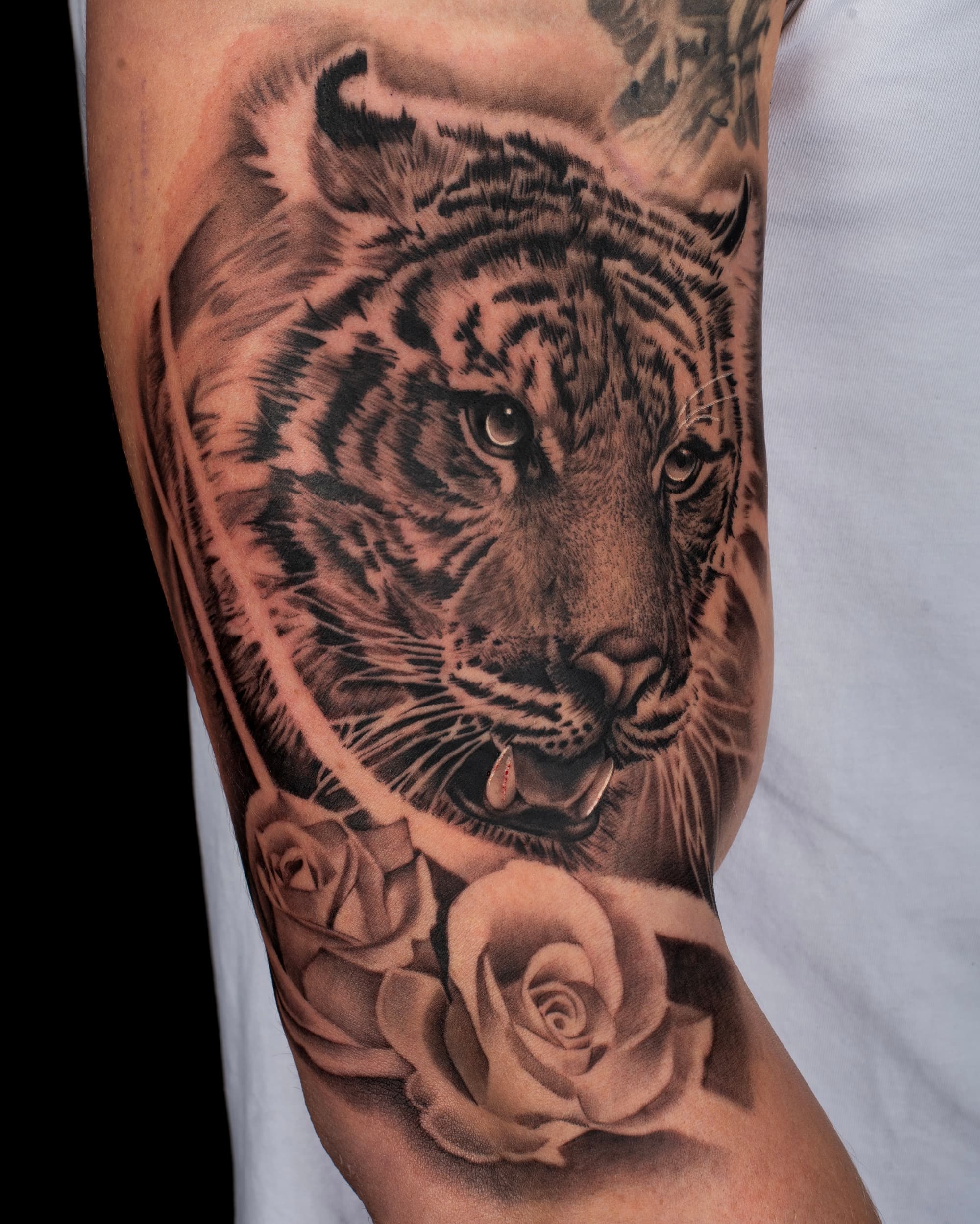 black and grey tiger and rose done at 46 tattoo toronto