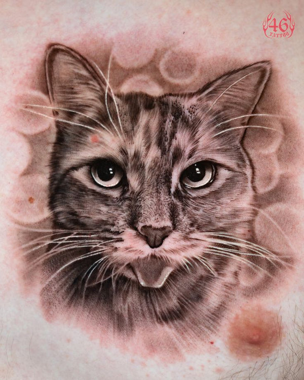 Pet Portrait