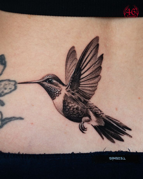 Humming Bird