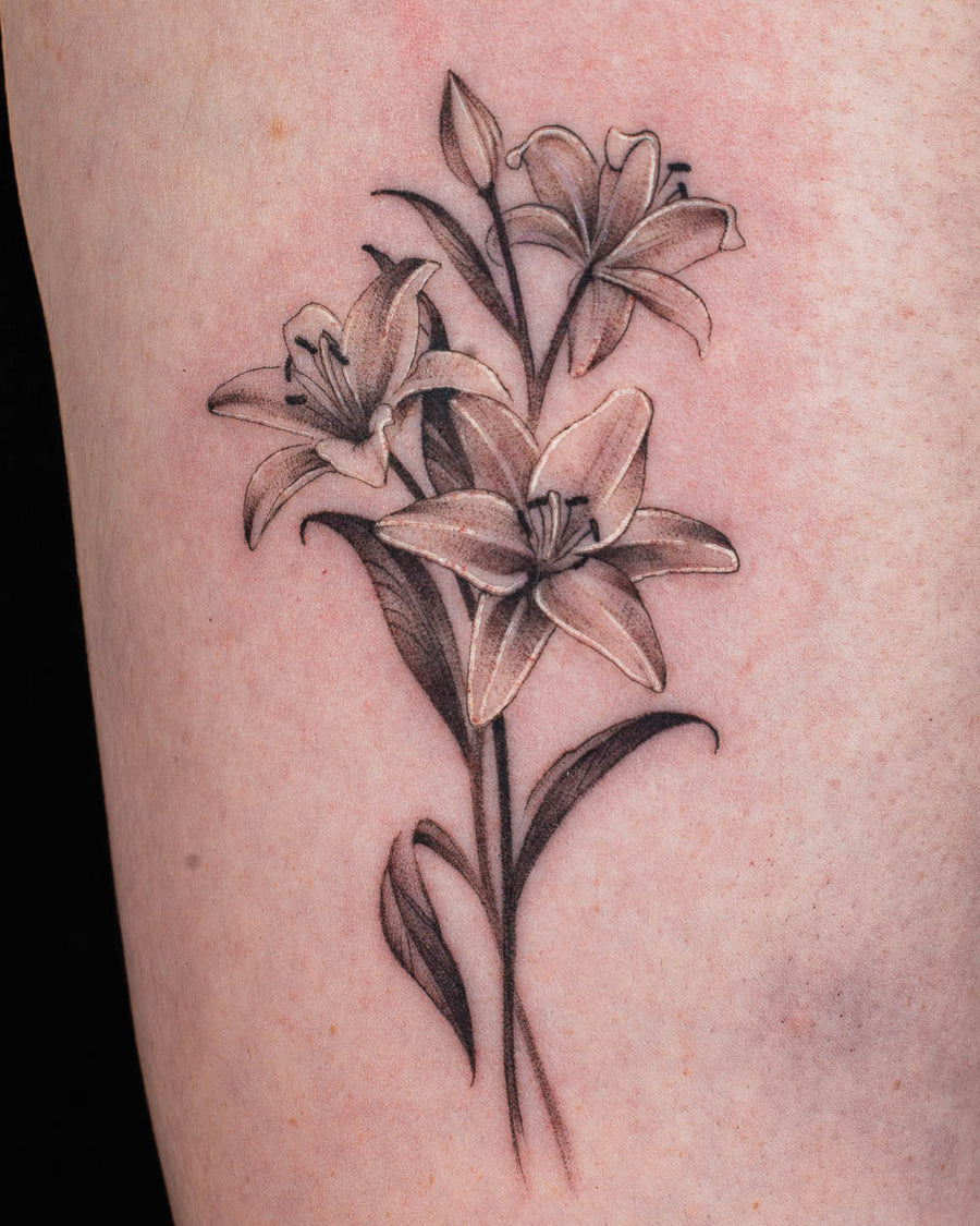 Lily