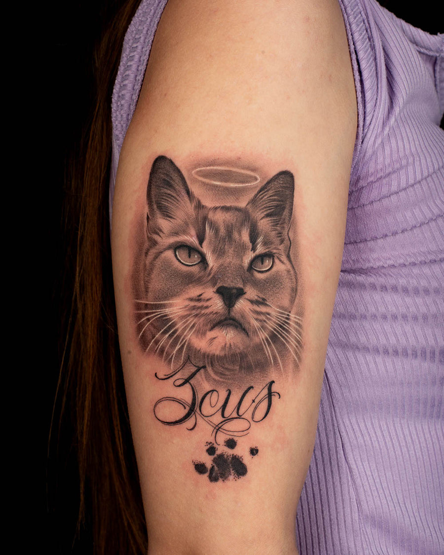 Cat Portrait