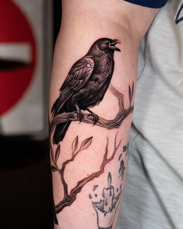 Crow
