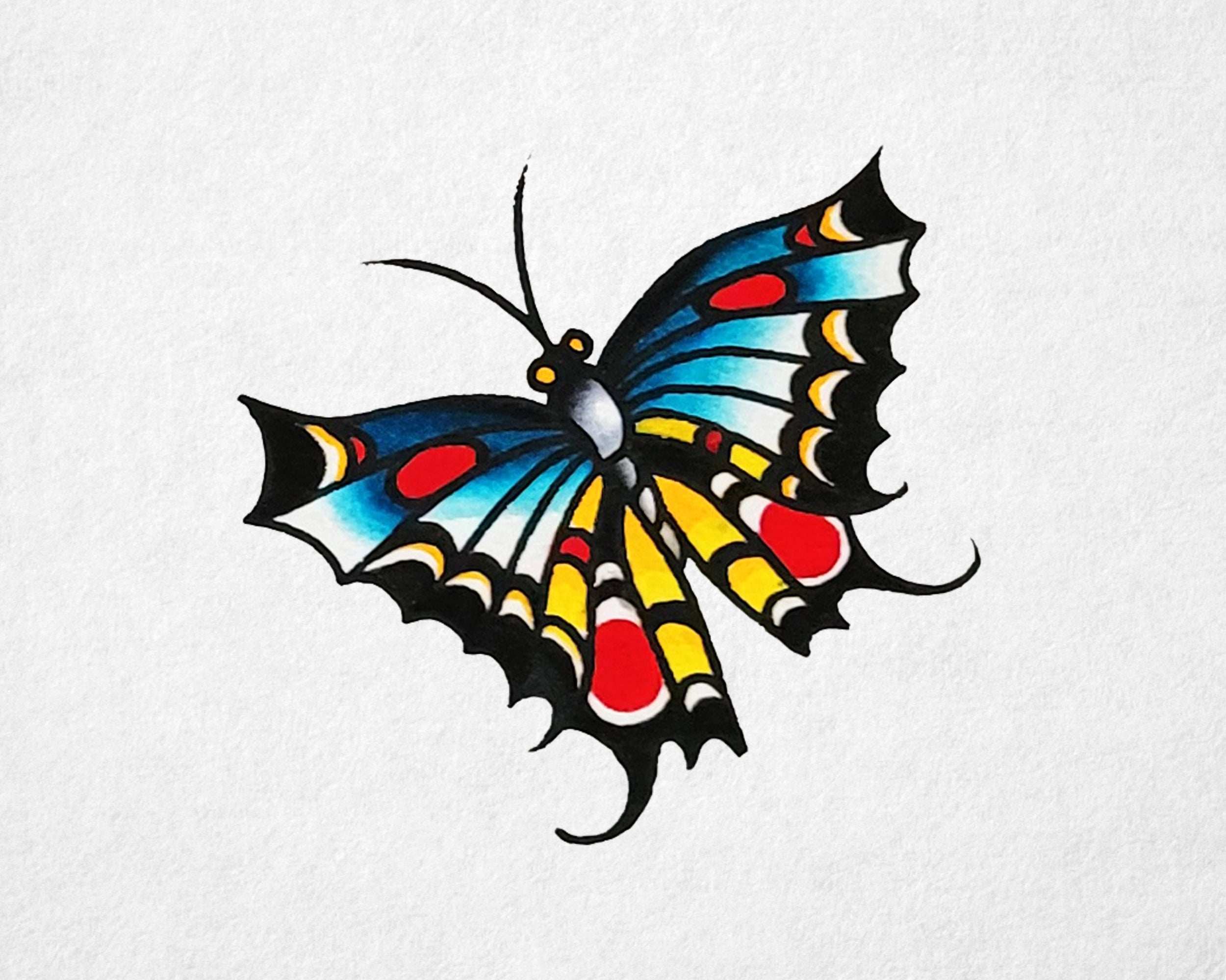 Striking Butterfly