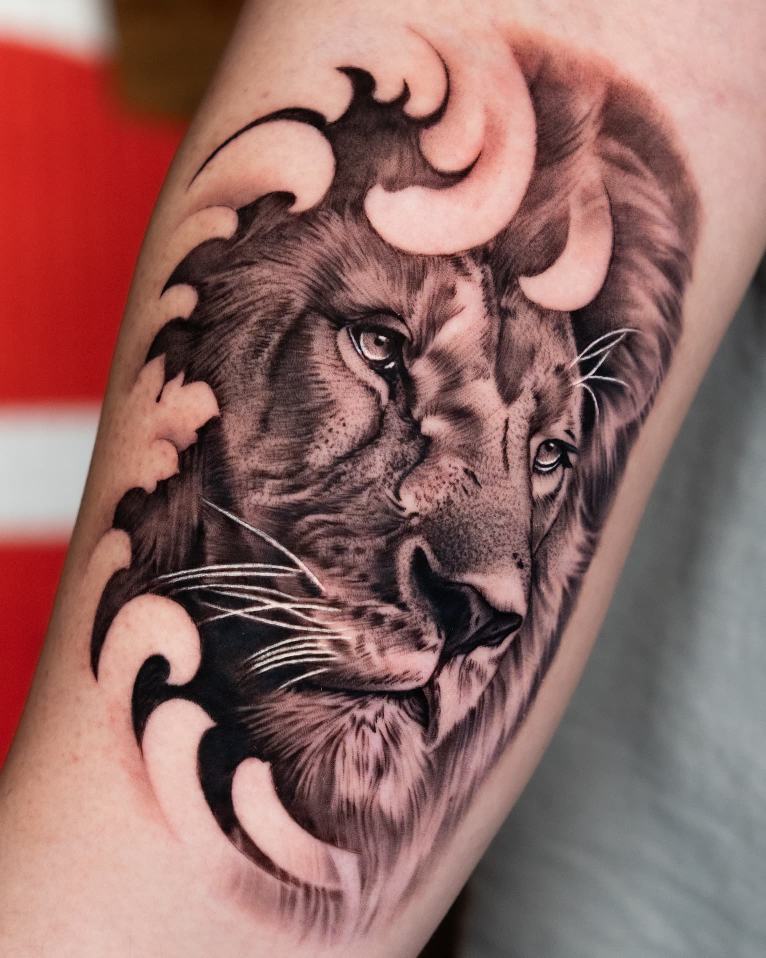 black and grey tattoo of a lion and filigree on the forearm done at 46 tattoo toronto