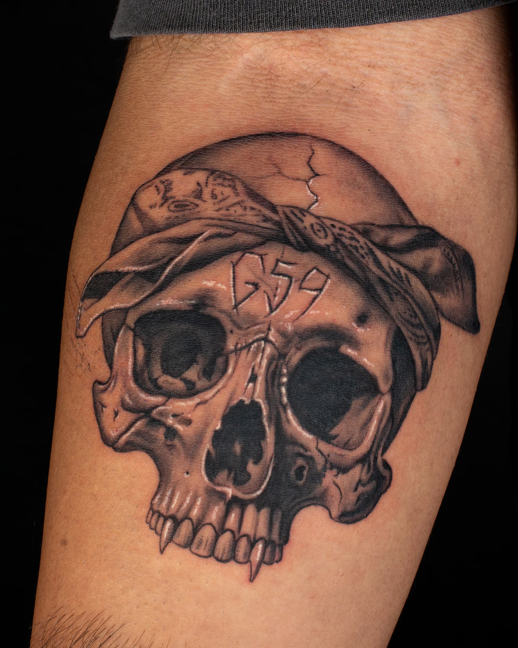 Skull tattoo reference 3