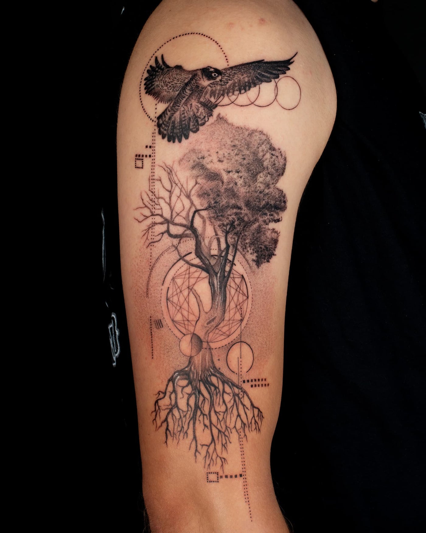 Transformation & Rebirth