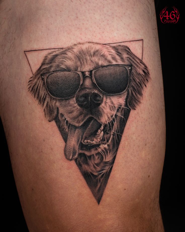 Pet Portrait