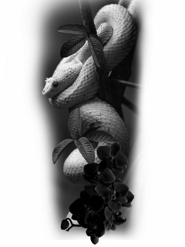 Orchid