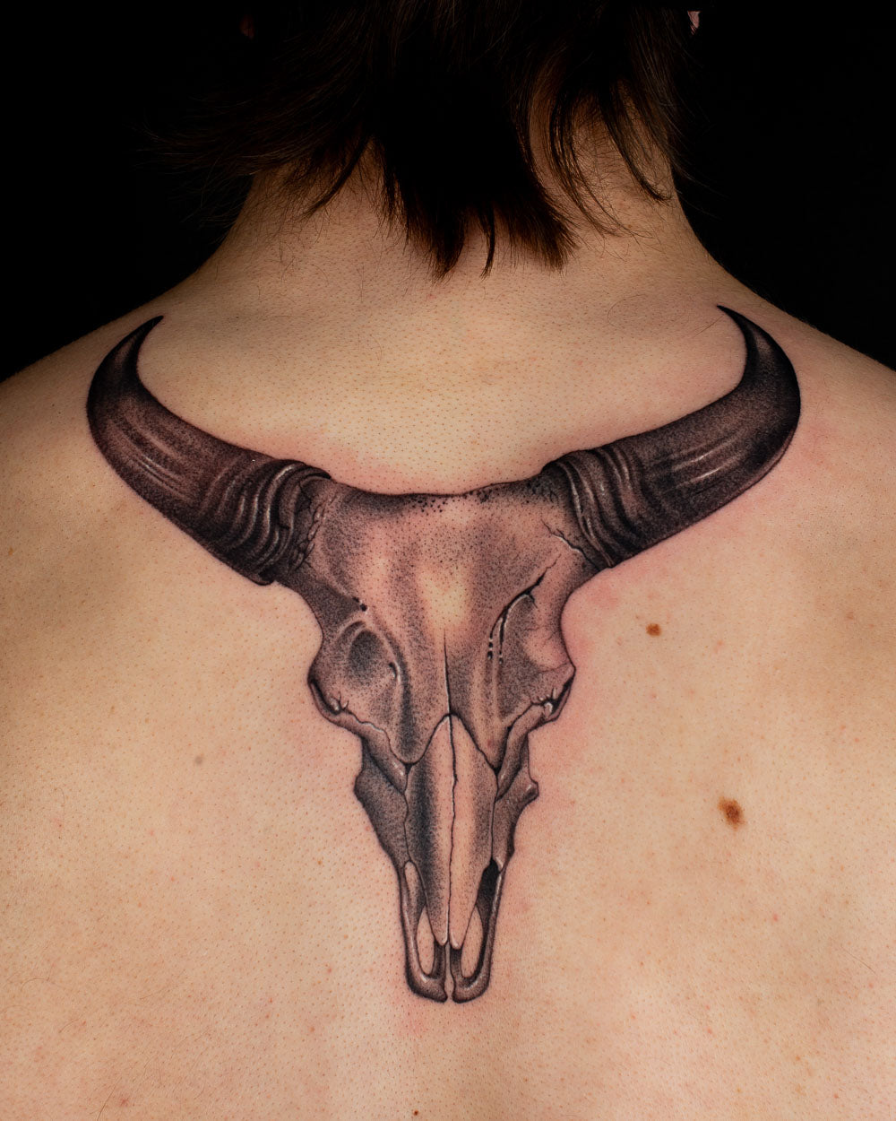 Animal Skull tattoo reference 3