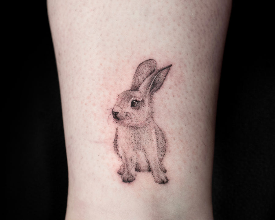 Bunny