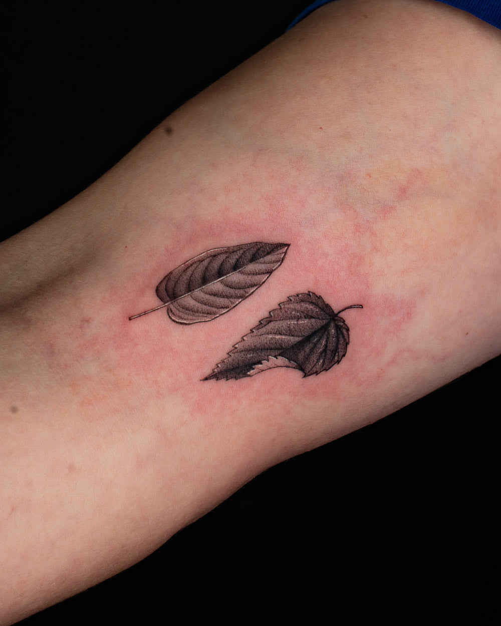 Leaf tattoo reference 2
