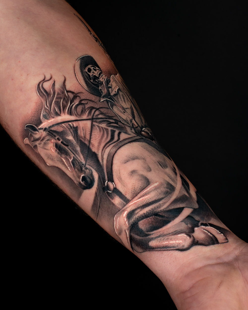 Horse tattoo reference 1