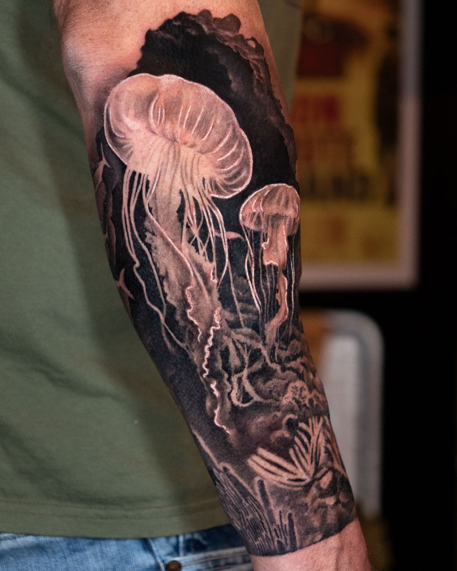 Jellyfish