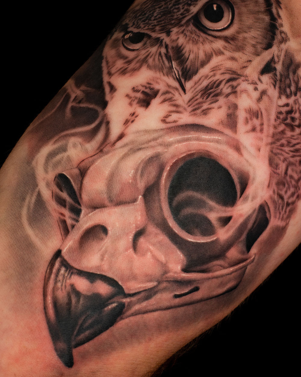 Animal Skull tattoo reference 1