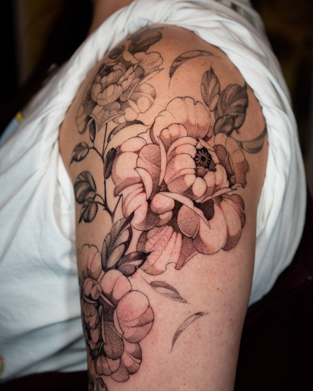 Peony tattoo reference 2