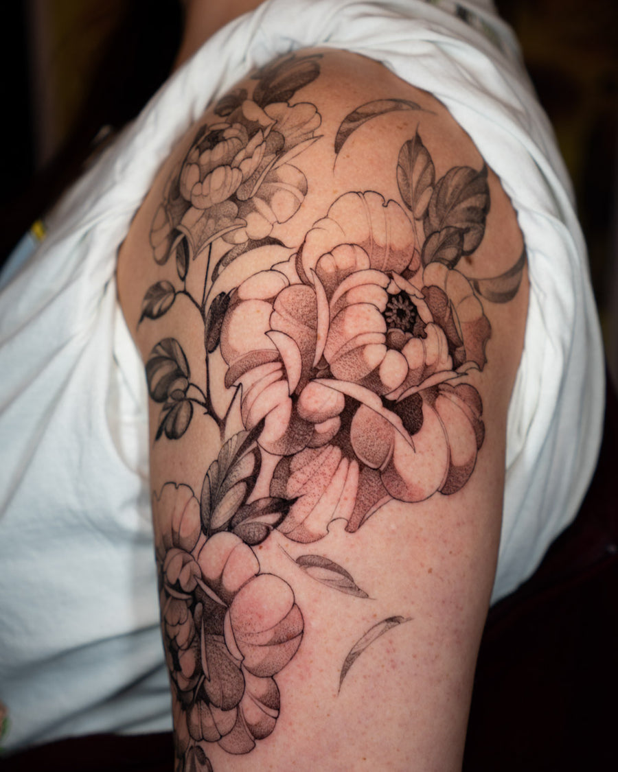 Peony