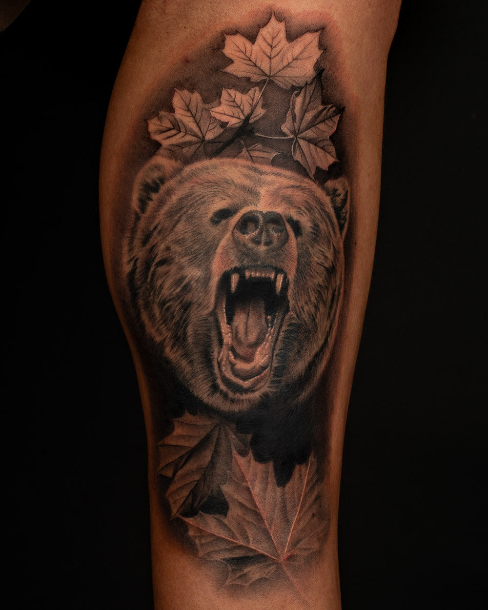 Bear tattoo reference 1
