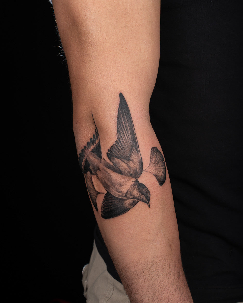 Bird in Flight
