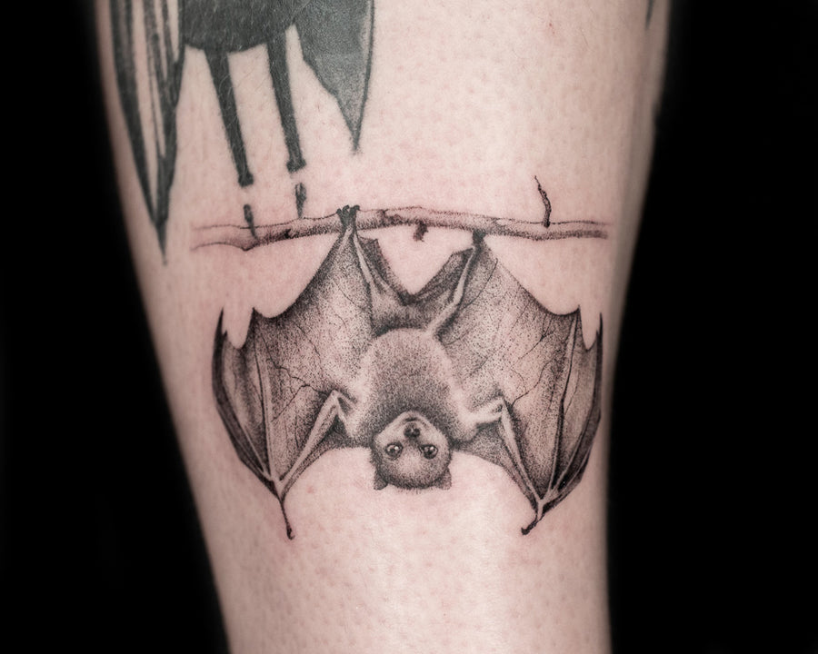 Bat